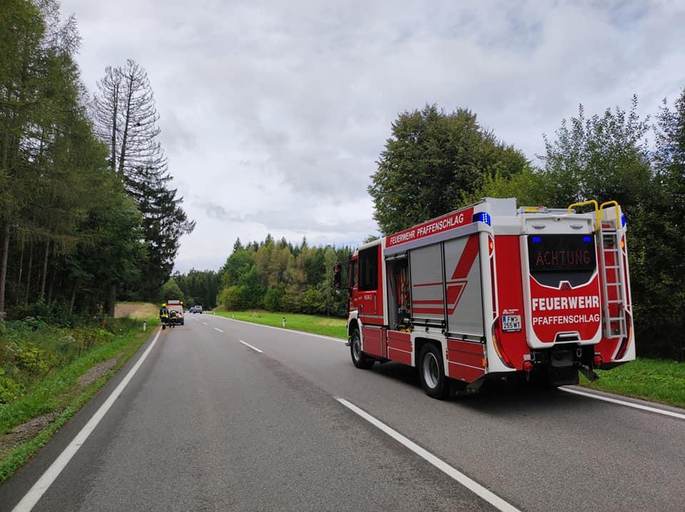 Sturmschaden auf der B5 Höhe Eisenreichs (T1) – Bild 2