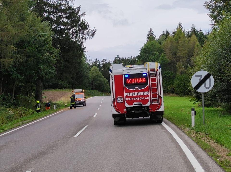 Sturmschaden auf der B5 Höhe Eisenreichs (T1) – Bild 3